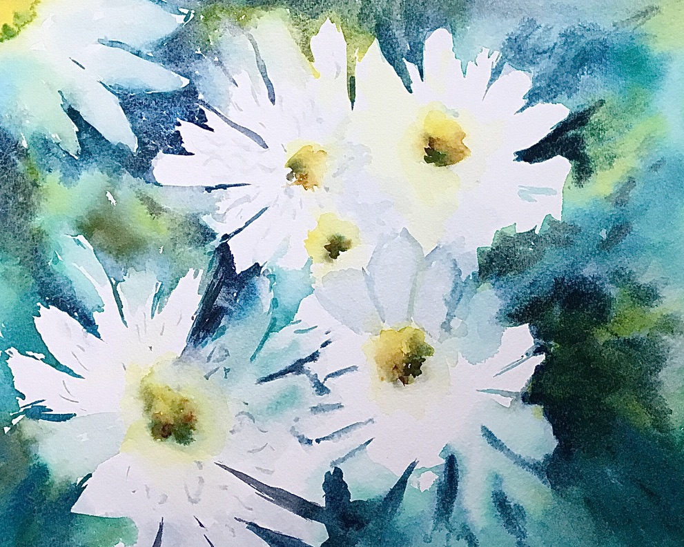 Daisy Daisy