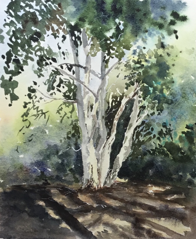 Hillier Aboretum
